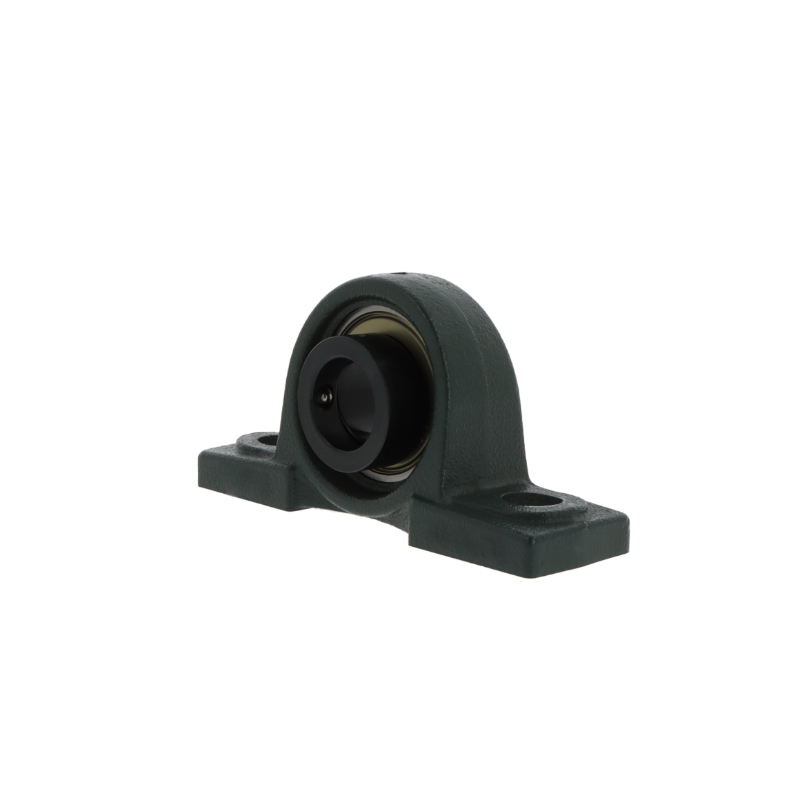 Plummer block housing units M-AELP207  D1