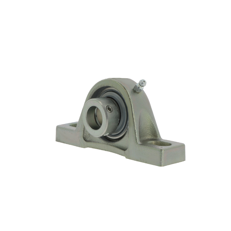 Plummer block housing units RASE50 -XL-N-FA125
