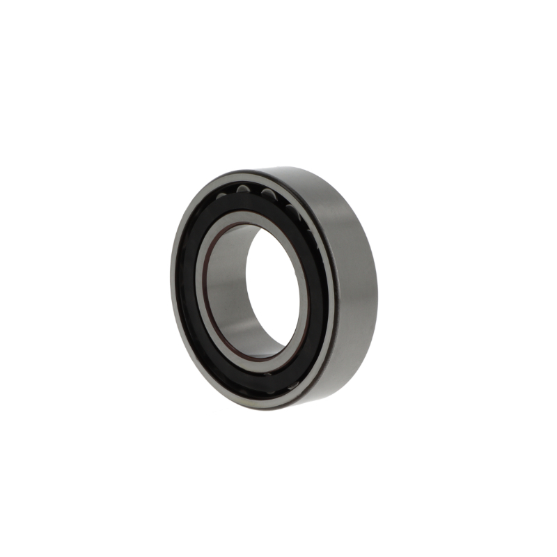 Toroidial roller bearings C2209  TN9